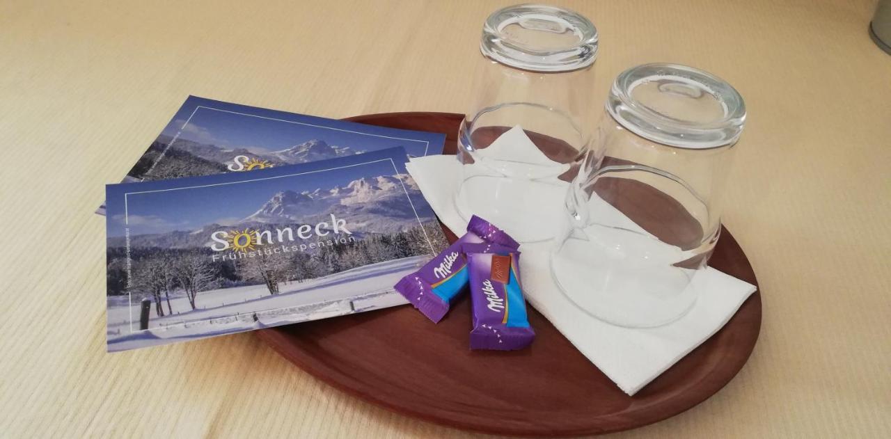 Sonneck Pension Pfarrwerfen Εξωτερικό φωτογραφία