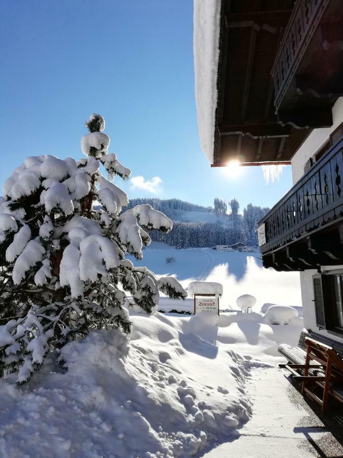 Sonneck Pension Pfarrwerfen Εξωτερικό φωτογραφία